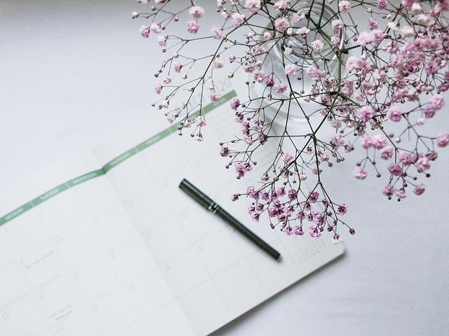 planner, nature, full hd wallpaper, march, calendar, 4k wallpaper 1920x1080, 4k wallpaper, schedule, flower wallpaper, organizer, date, hd wallpaper, desktop backgrounds, month, wallpaper hd, depth of field, mac wallpaper, flowers, wallpaper 4k, beautiful flowers, flower background, pen, desk, agenda, day, beautiful wallpaper, entrepreneur, free wallpaper, windows wallpaper, free background, event, laptop wallpaper, cool backgrounds, blog, background